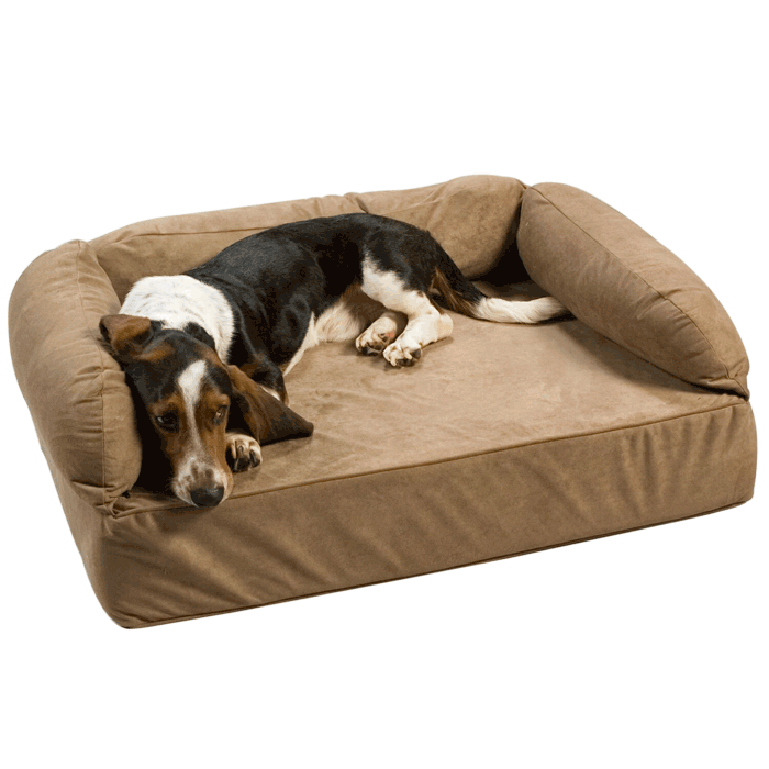 Snoozer Luxury Pet Sofa MEMORY Foam Dog Beds XLARGE 54-inch Many Colors ...